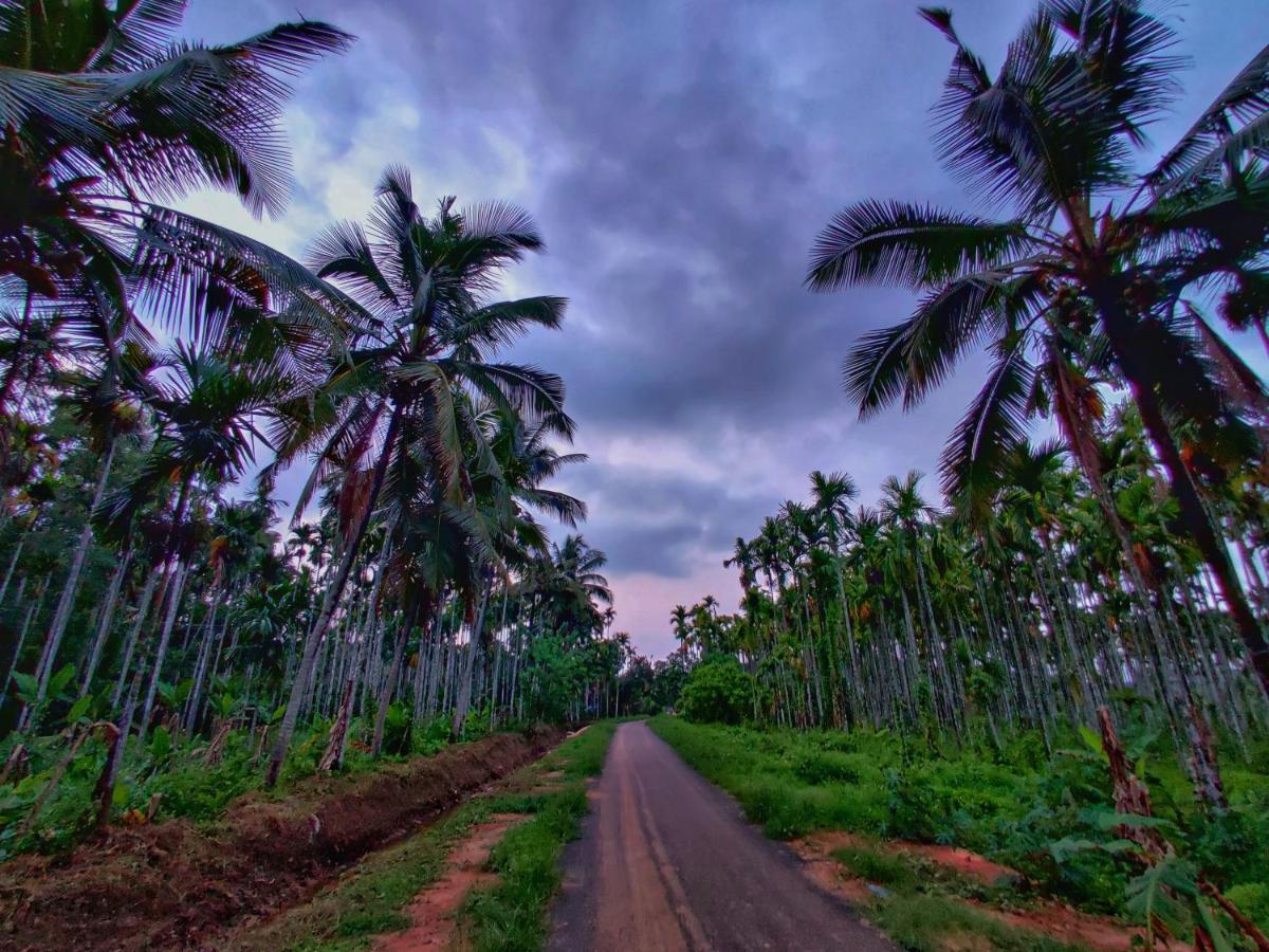 Swastha Plantation Homestay Kaniyāmbetta Exteriér fotografie
