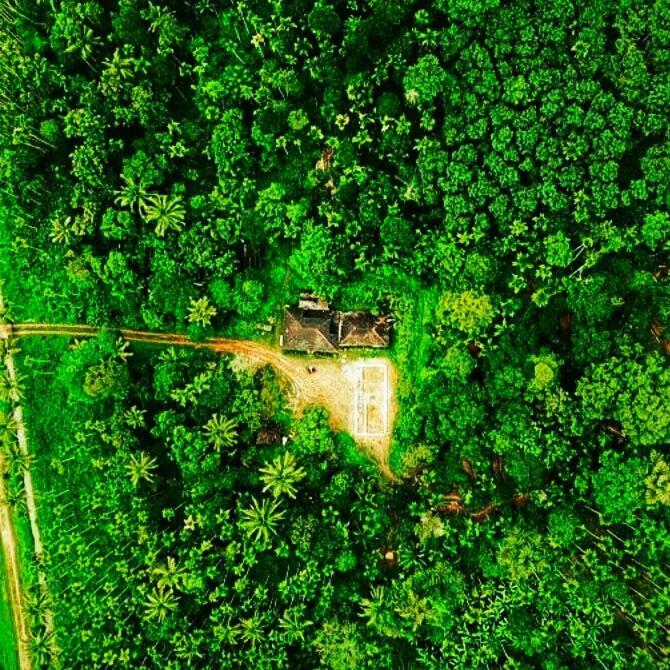 Swastha Plantation Homestay Kaniyāmbetta Exteriér fotografie