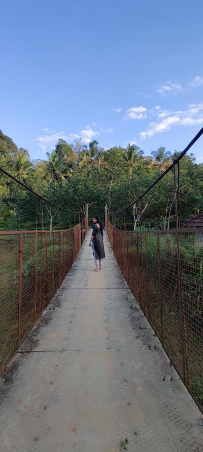 Swastha Plantation Homestay Kaniyāmbetta Exteriér fotografie