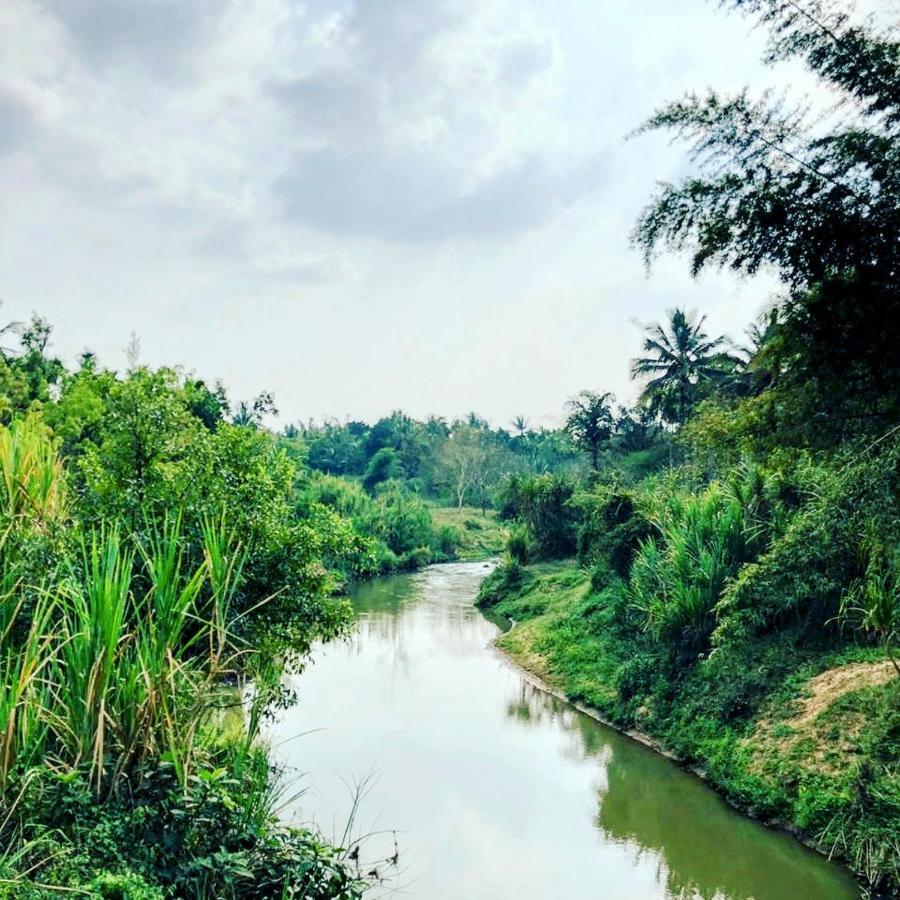 Swastha Plantation Homestay Kaniyāmbetta Exteriér fotografie